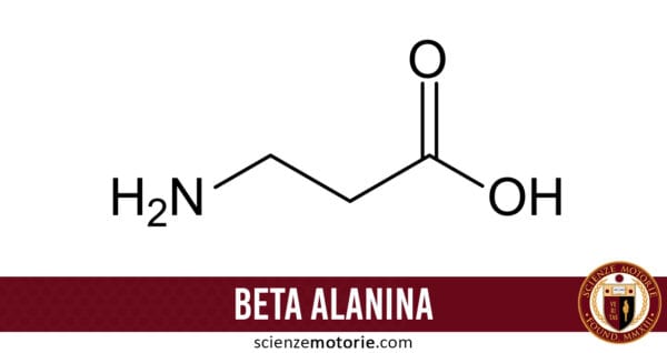 Beta Alanina