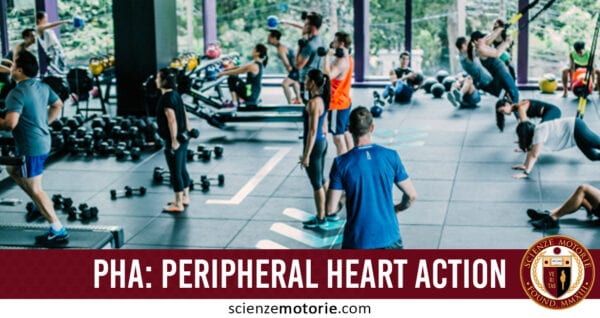 PHA, Peripheral Heart Action