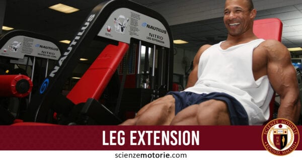 leg extension