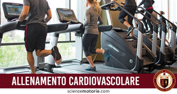 allenamento cardiovascolare