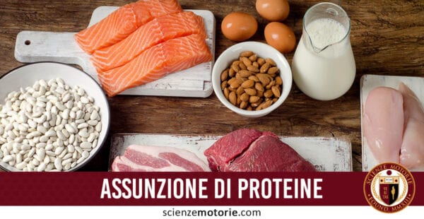 assunzione proteine