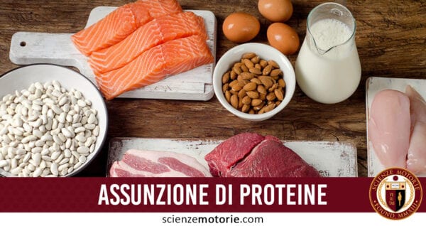 assunzione proteine