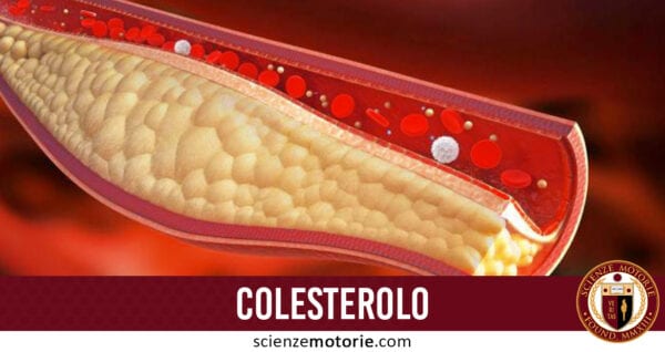 colesterolo