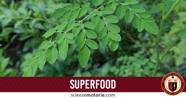 superfood