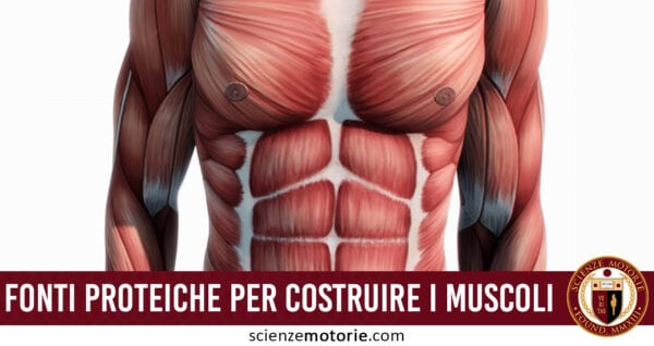 costruire muscoli