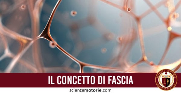 fascia muscolare