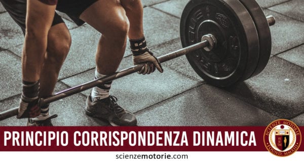 principio corrispondenza dinamica