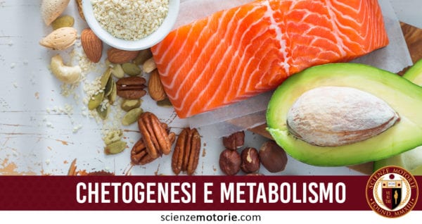 chetogenesi e metabolismo