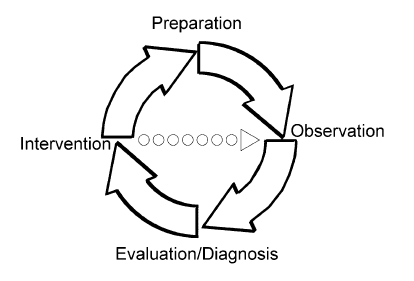 procedura