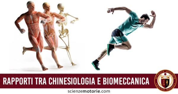 rapporti tra chinesiologia e biomeccanica