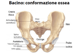 MODIFICAZIONI DEL BACINO