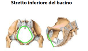 Stretto inferiore del bacino