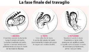  GRAVIDANZA- la fase finale del travaglio