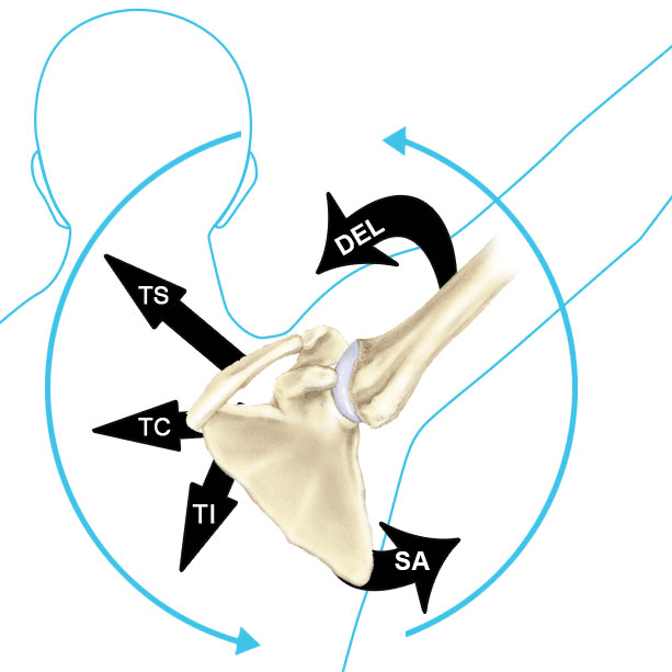 artrocinematica