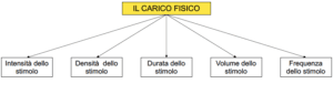 Principi base della programmazione dell’Esercizio Funzionale®