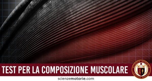 test per la composizione muscolare