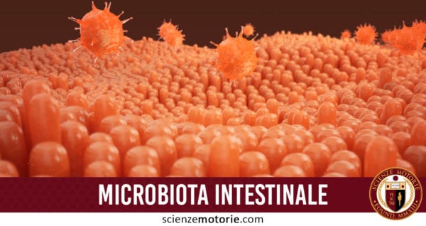 microbiota intestinale