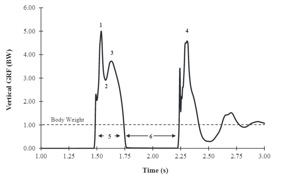 reactive strength index