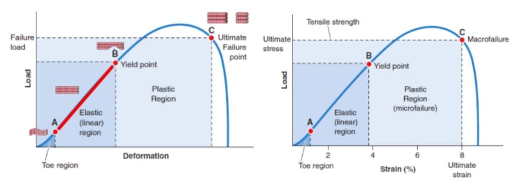 stiffness muscolare