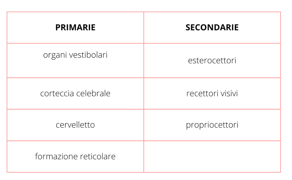 strutture coinvolte nella postura