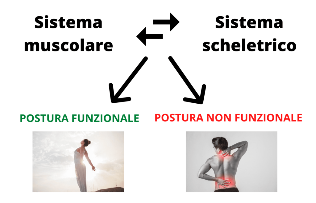 Postura funzionale e non funzionale