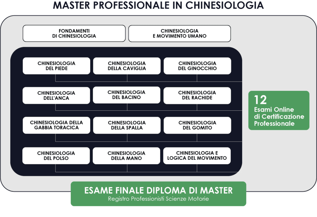 Percorso Master Chinesiologia