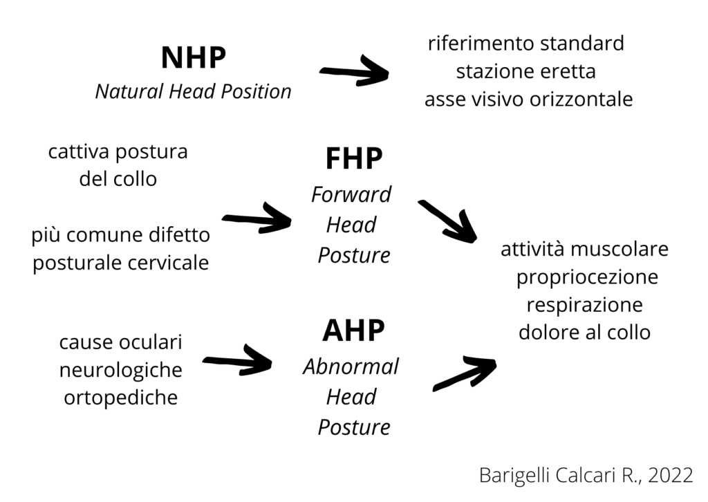 testa e postura