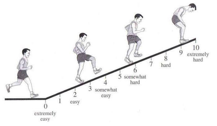 OMNI scale of perceived exertion