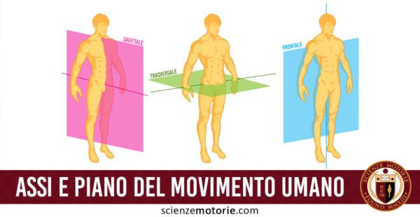 assi-piani del movimento umano