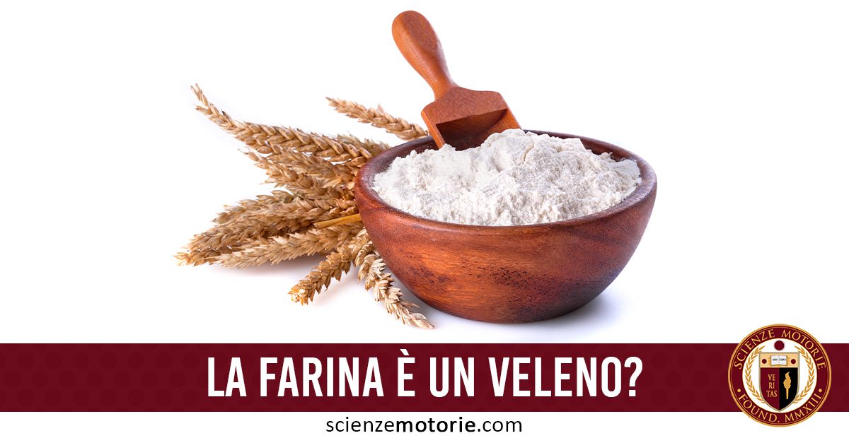 La farina è un veleno? > Scienze Motorie