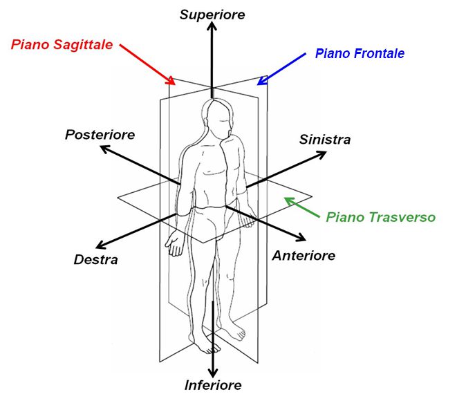 piani del movimento