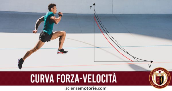 Curva-forza-velocità