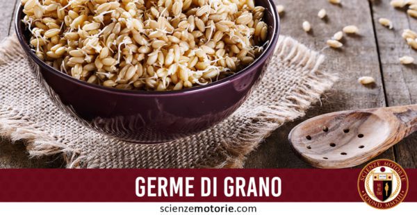 germe di grano