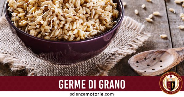 germe di grano