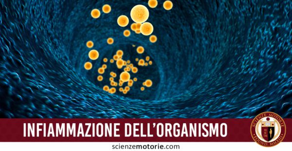 infiammazione organismo