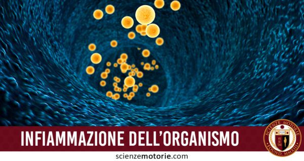 infiammazione organismo