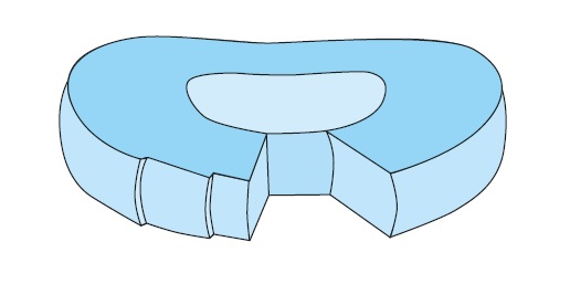 articolazione intersomatica