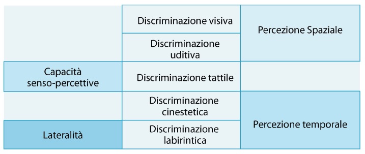 schema corporeo