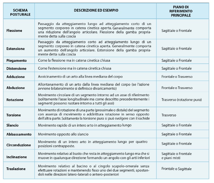 schemi posturali