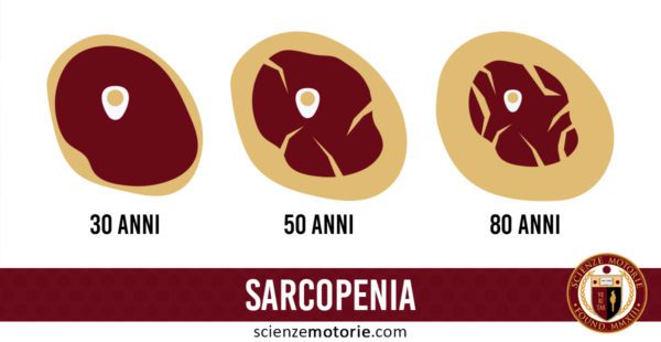 Sarcopenia