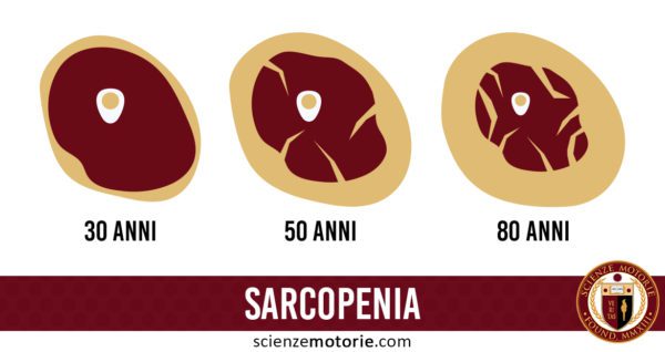 Sarcopenia