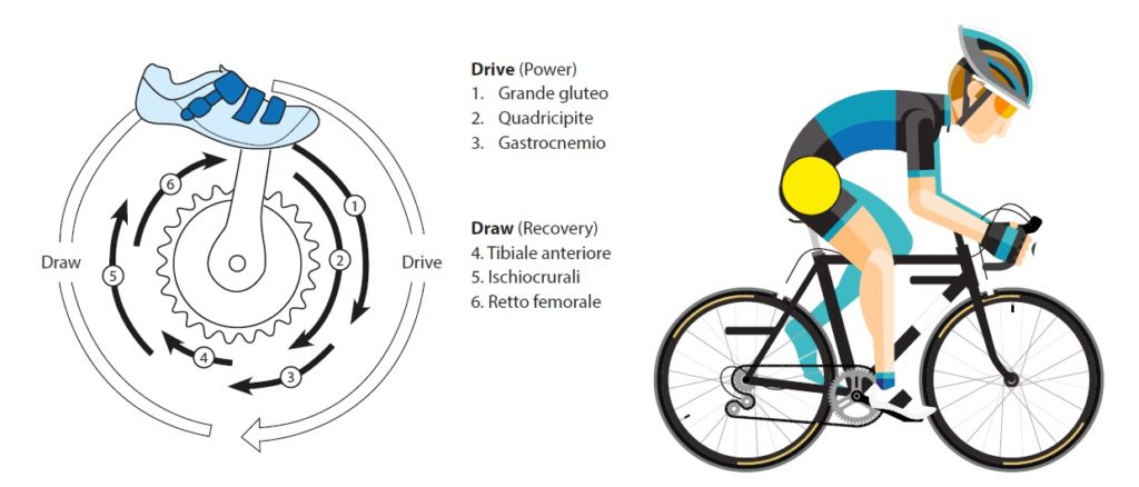 drive e draw nel ciclismo