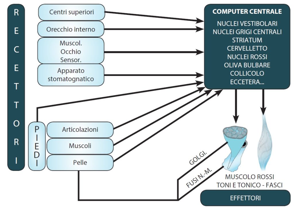 sistema di controllo posturale