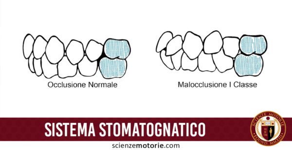 sistema stomatognatico