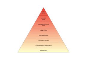 Piramide delle evidenze scientifiche