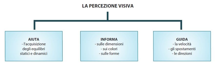 funzioni della percezione visiva