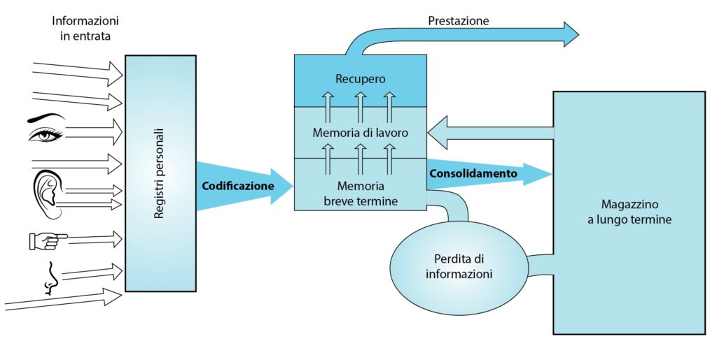 immagazzinamento a lungo termine