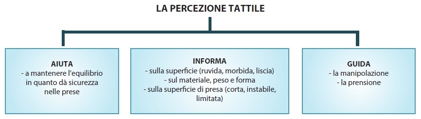 percezione tattile