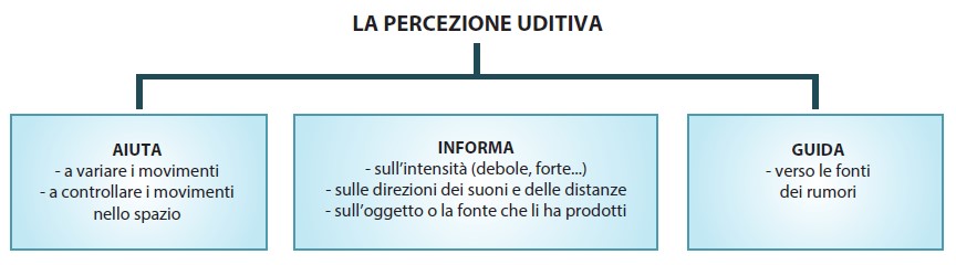 percezione uditiva