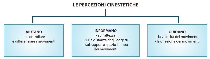 percezioni cinestetiche